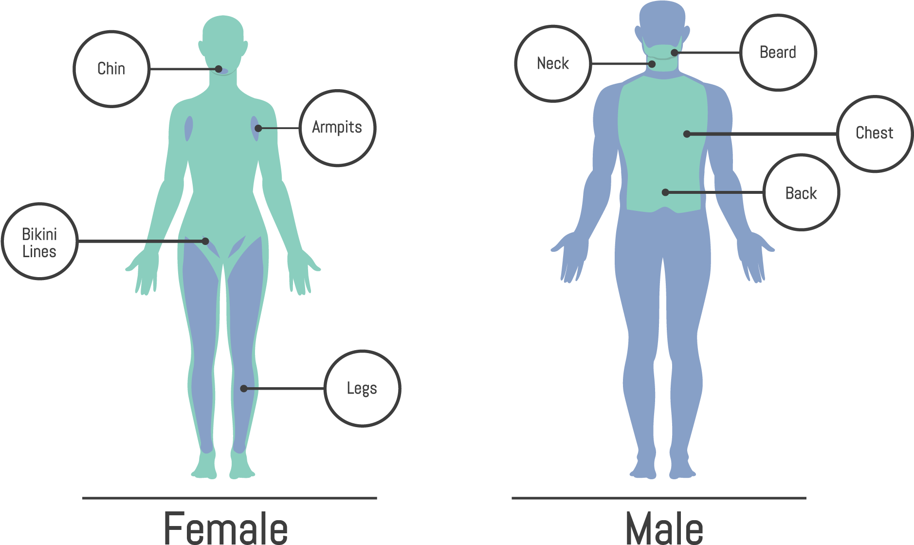 We Can Help You Remove Dark Hair From Almost Any Area - Hair (2000x1153), Png Download