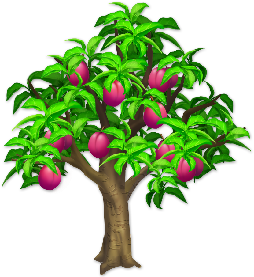 Trees And Bushes - Guiana Chestnut (905x905), Png Download