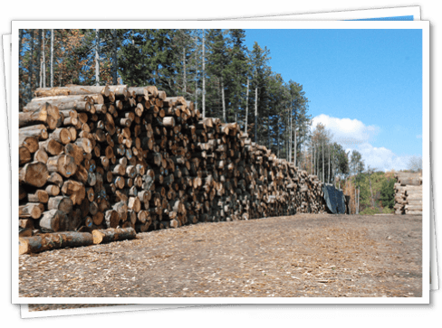 Stone Wall (488x363), Png Download