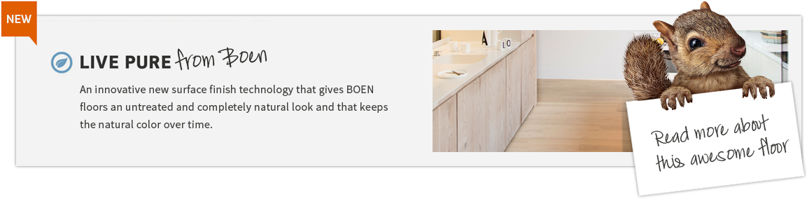 Live Pure - Next Innovations Squirrel 3 Hook Coat Rack (1165x303), Png Download