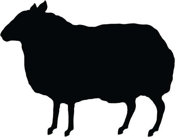 Bbh Capabilities - Bbh Logo Png (564x440), Png Download