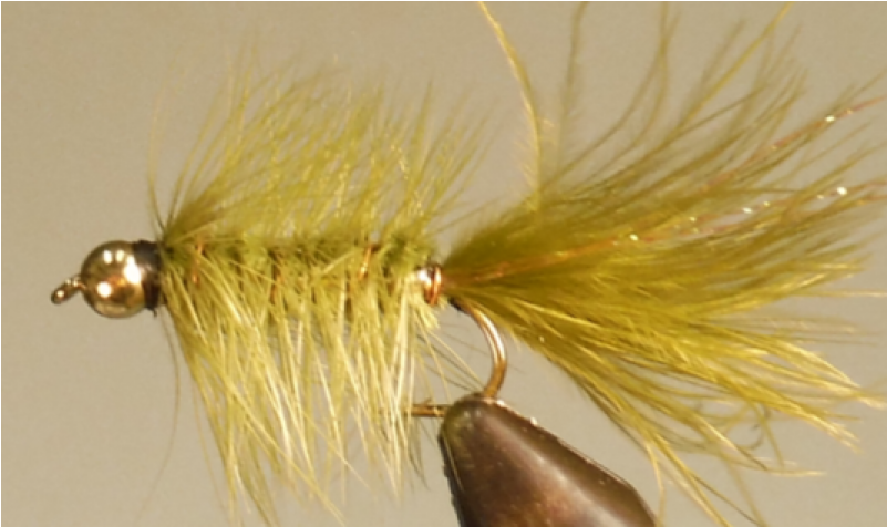 Bead Head Bugger - Bait Fish (800x800), Png Download