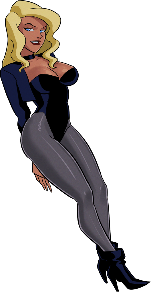 Black Canary Green Arrow, Justice League Unlimited, - Black Canary Dcau (528x1016), Png Download