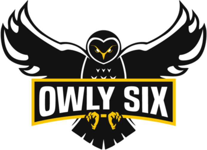 Owly Six Announces Overwatch Roster - Owly Six (912x516), Png Download