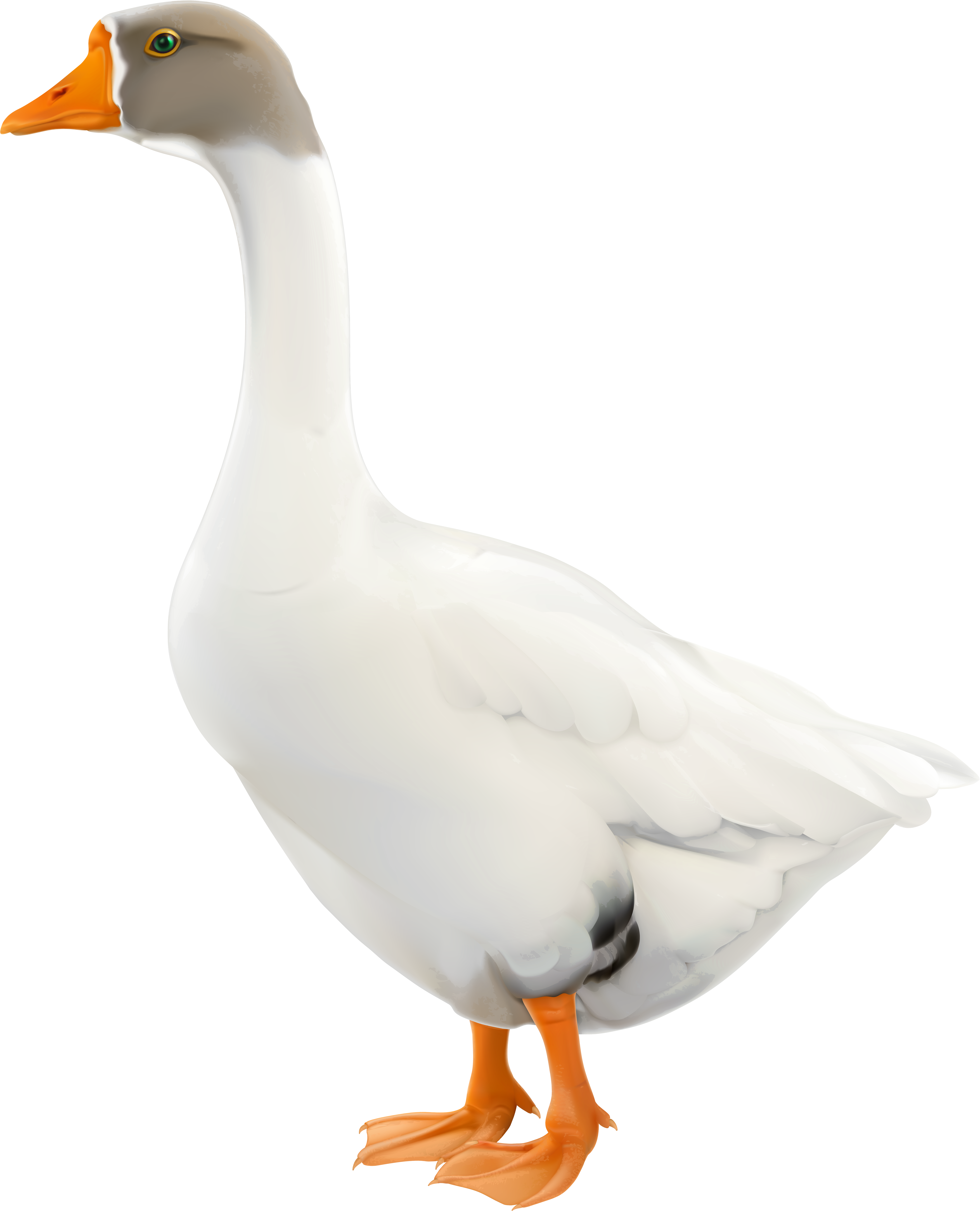 Goose Png (5701x7000), Png Download