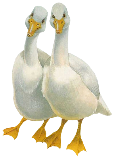 Tubes Easter - Website (400x550), Png Download