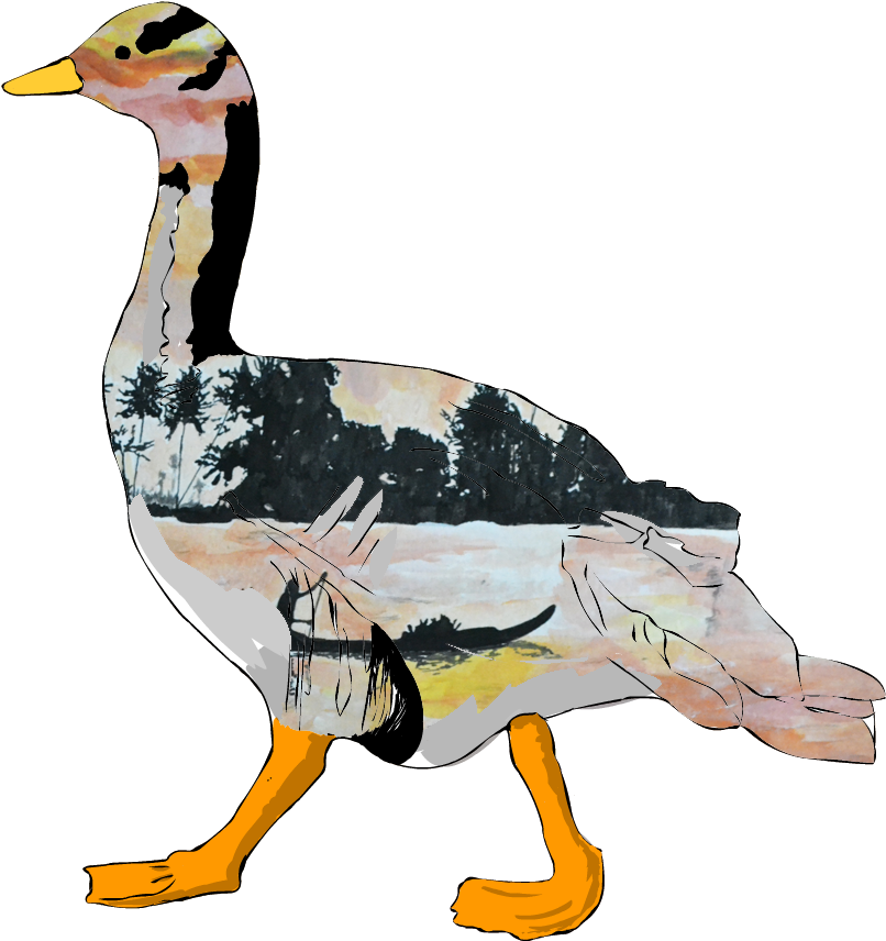 Bar Head Goose Sunset Overlay - Bird (2212x1280), Png Download