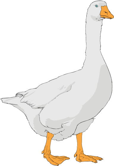Goose Clipart (370x532), Png Download