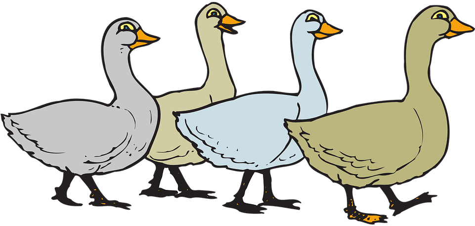 Geese Migration Clipart Png Format - Clip Art Geese (960x480), Png Download