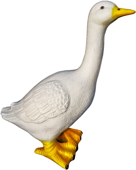 Ganso Png (500x620), Png Download