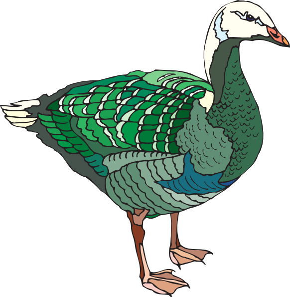 How To Set Use Green And White Goose Clipart (582x595), Png Download