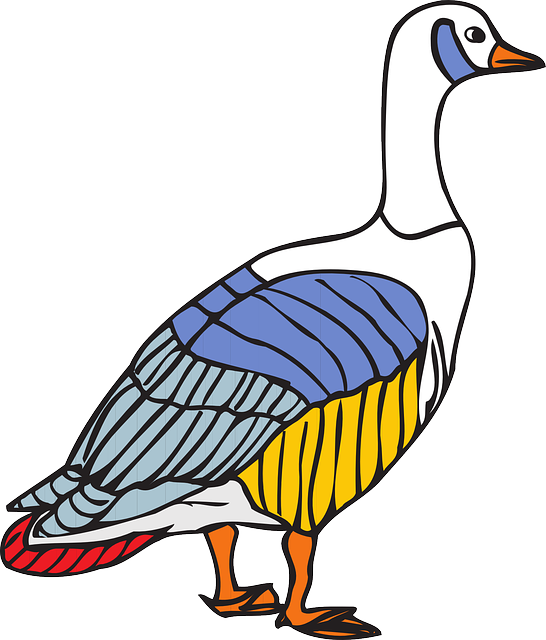 Colors, Wings, Goose, Colorful, Animal, Feathers - Colorful Goose (546x640), Png Download
