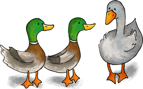 Duck, Duck, Goose - Duck Duck Goose Png - Free Transparent PNG Download