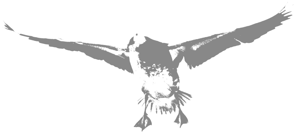 Blue-goose - Portable Network Graphics (1000x1000), Png Download