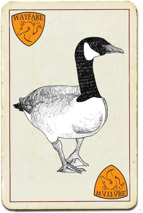 Canada Goose - Canada (524x712), Png Download