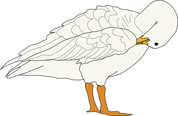 Free Icons Png - Goose (600x392), Png Download