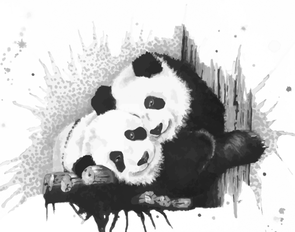 Search Form - Giant Panda (1200x942), Png Download