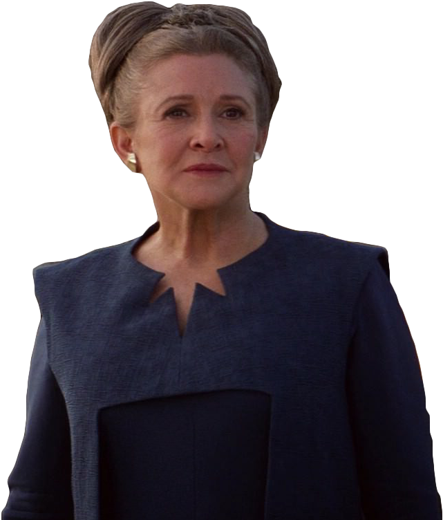 Png Princesa Leia - Star Wars The Force Awakens Leia Png (690x770), Png Download