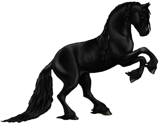 Banner Royalty Free Stock Quin By Silvanonoftheorchard - Friesian Png (550x430), Png Download