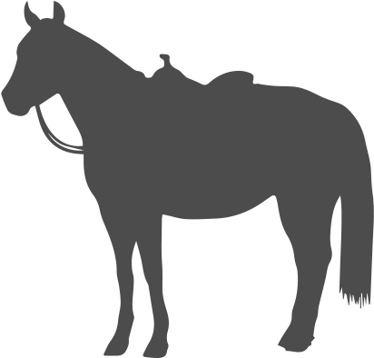 Pleasure Horse - Western Horse Silhouette (600x400), Png Download