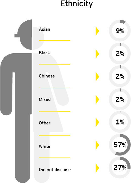 Ey - Pay Gap - Ethnicity - Age Pay Gap (1024x768), Png Download