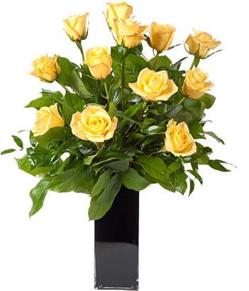 Two Dozen Yellow Roses - Bazaruto Island (430x430), Png Download