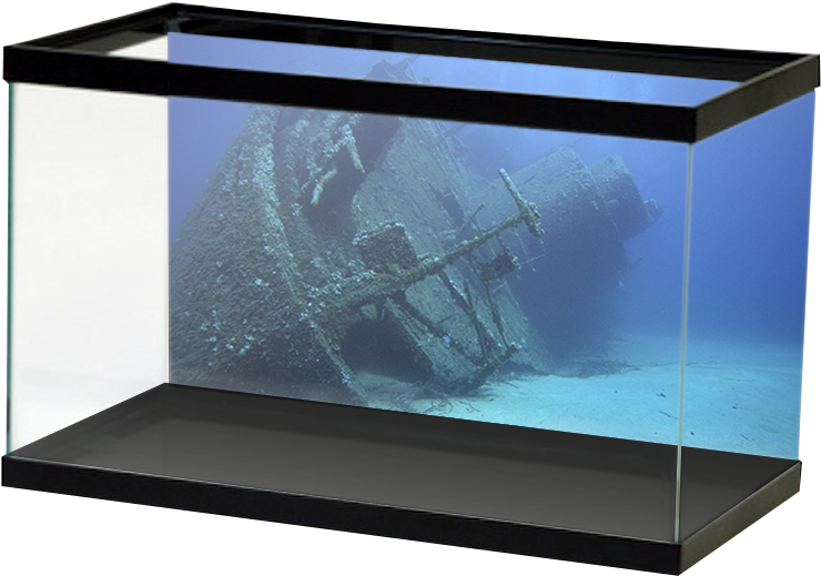 Specialty Shipwreck (800x800), Png Download