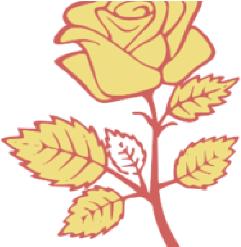 Yellow Rose Clipart Svg - Tranh Tô Màu Các Loại Hoa (640x480), Png Download