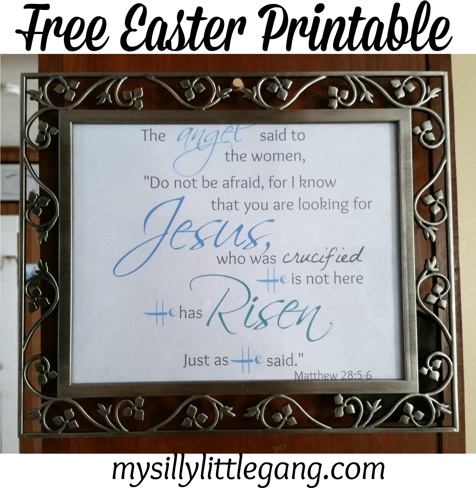 He Has Risen Matthew - Emporio Jeans (1662x1654), Png Download