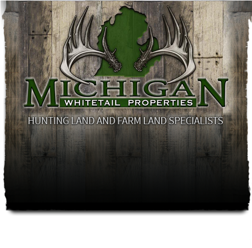 Michigan Whitetail Properties - Michigan (502x570), Png Download
