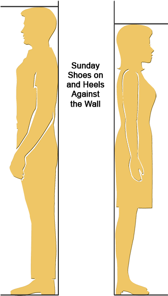 1507780136 Height-sm - Measure Your Height (372x605), Png Download