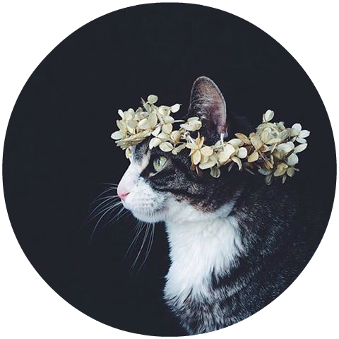 Dabbing Sucks - Стих Арт (480x480), Png Download