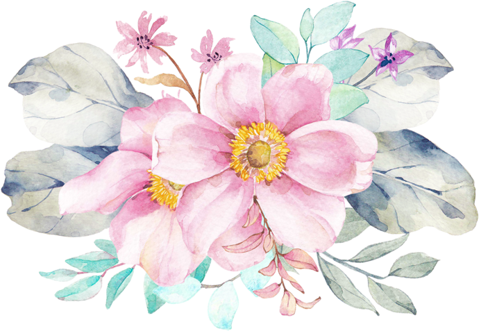 Фото, Автор Mimozochka На Яндекс - Website (800x563), Png Download