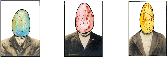 The Ban On Collecting Eggs Of Protected Species Of - Illustration (800x480), Png Download