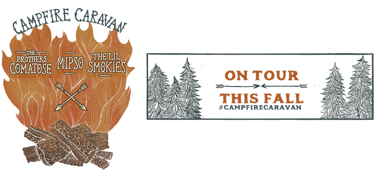 Christmas Tree (850x354), Png Download