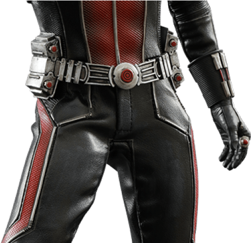 Ant-man Png Transparent Images - Hot Toys Marvel Ant-man 1:6 Scale Figure (640x480), Png Download