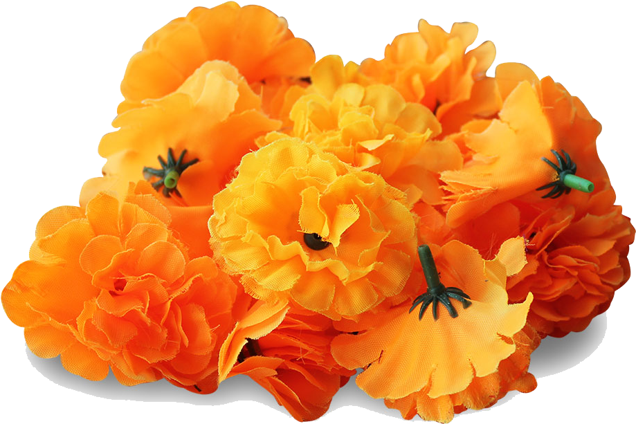 Unique Poppy Clip Art Clipart Free Download On - Marigolds Png (1280x850), Png Download