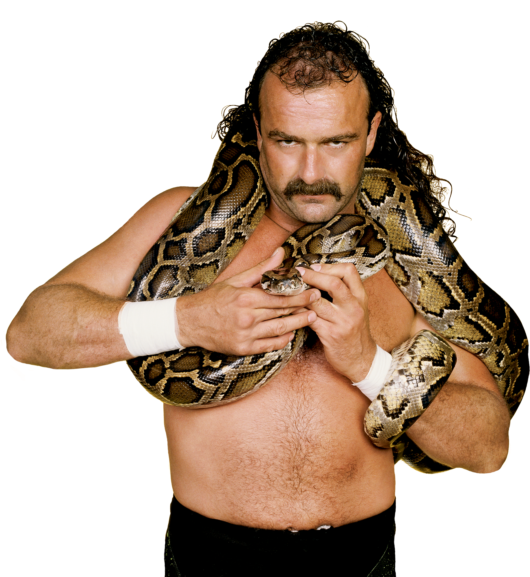 Jake The Snake Roberts Pro - Jake The Snake Png (1000x707), Png Download