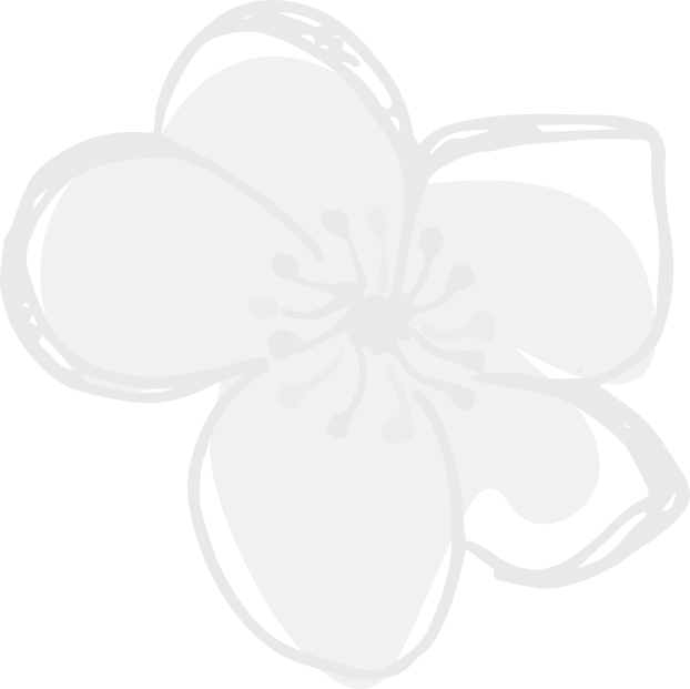 Picture Library Library Hawthorn About Herbal Medicine - Flower Watermark (622x621), Png Download
