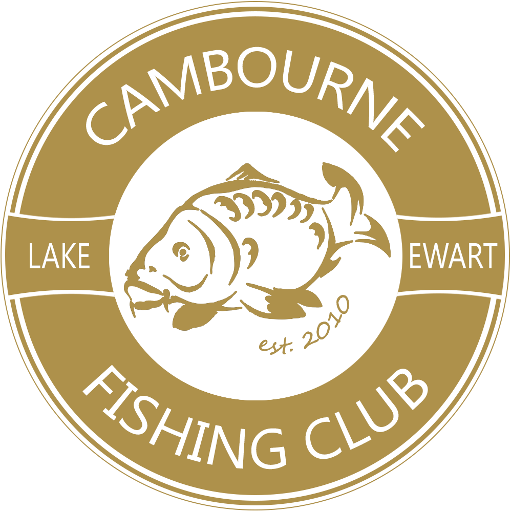 Carp Silhouette (998x1000), Png Download