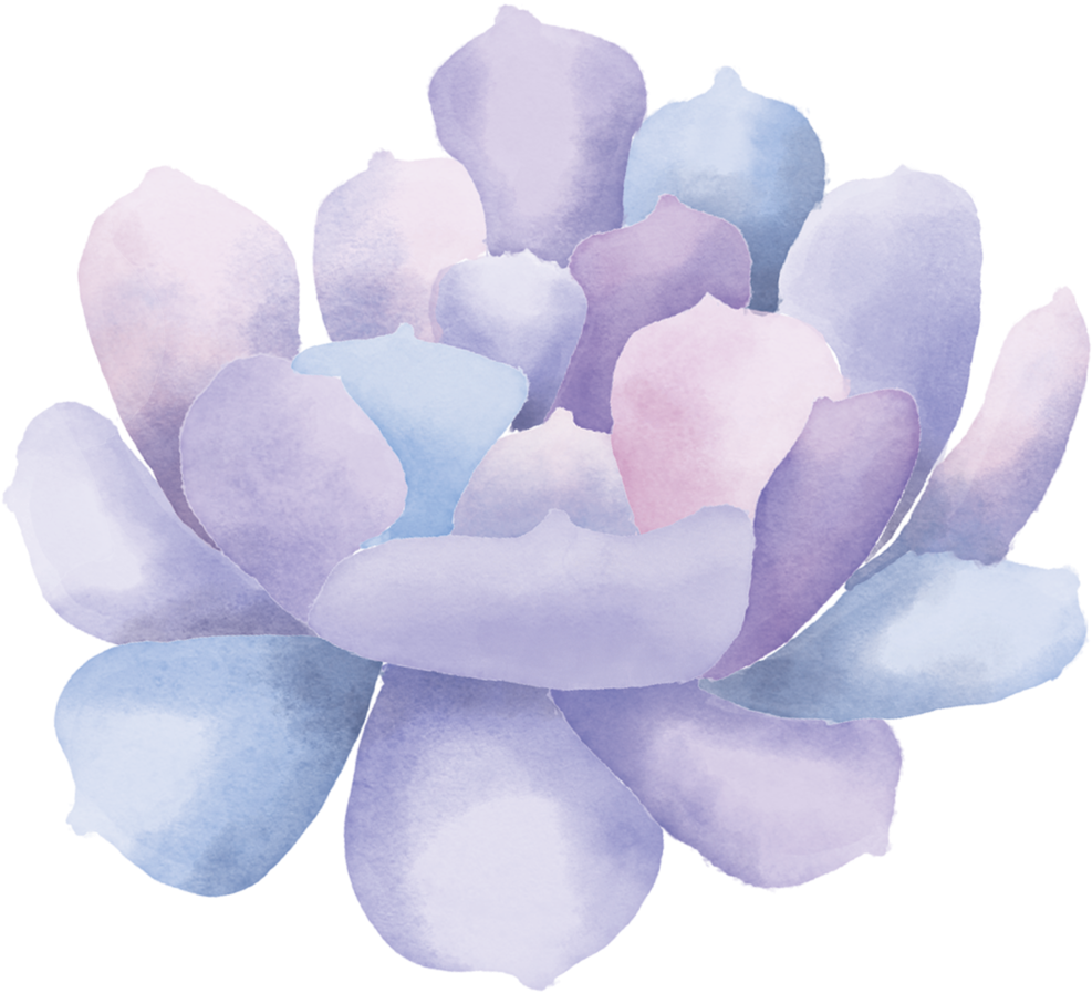 Watercolor Succulent Clip Art3 - Watercolor Painting (1000x924), Png Download