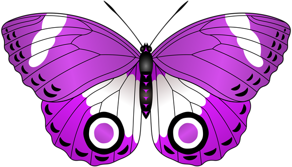 Attn - Borboleta Vermelha Png (600x343), Png Download
