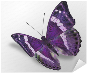 Sterben Und Werden - Epub (400x400), Png Download