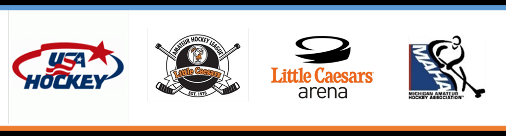 Man's Usa-hockey-logo Warm Hoodies Sweatshirts (1024x276), Png Download