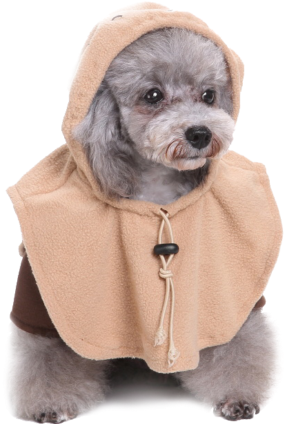 Star Wars Ewok Dog Costume Dog Costumes Pet Threads - Pet Clothes,ieason Hot Sale! Halloween Cool Othing (750x750), Png Download