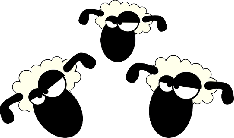 Mb Image/png - Sheep Head Cartoon (800x472), Png Download