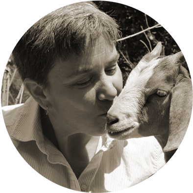 Jean Harrison - Chief Executive (400x400), Png Download