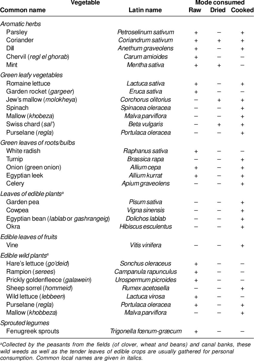 Dark Green Leafy Vegetables Commonly Consumed By Egyptians - List Of Green Leafy Vegetables (850x1207), Png Download