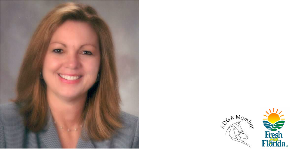 Human (962x495), Png Download