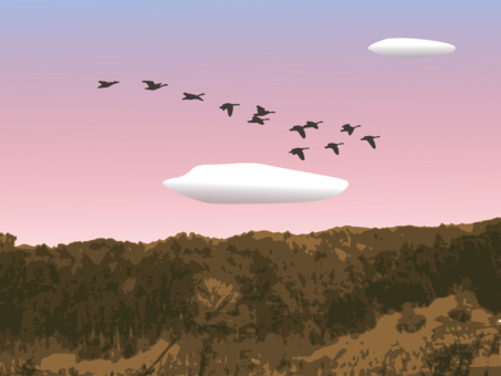 Goose Sky Bird Landscape Cloud - Surviving Stress: Rediscover The Awesome You! (453x340), Png Download